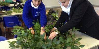 Advent Wreath Workshop